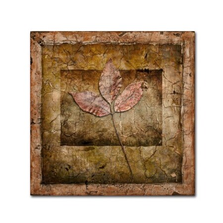 LightBoxJournal 'Autumn Leaves II' Canvas Art,14x14